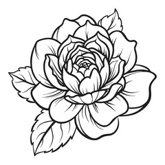 Detailed hand drawn peony flower outline with leaves perfect for tattoo design or floral art projects vector