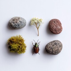 Nature's collection on white