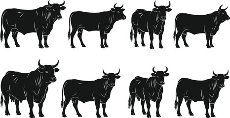 Black silhouette bull cattle, farm animal vector, livestock icons, agricultural animals, beef cattle illustrations, ranch farm designs, bull horns, farmyard vector art