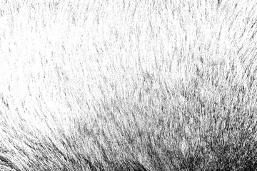 Dark textured surface creating a moody abstract background.