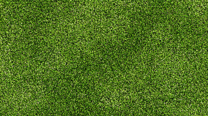 Fresh green lawn texture photographed from above with even color distribution and fine natural details, seamless background 