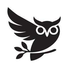 owl on white background