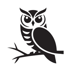 owl on white background
