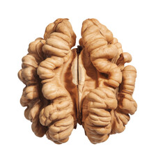 walnut kernel isolated on white background