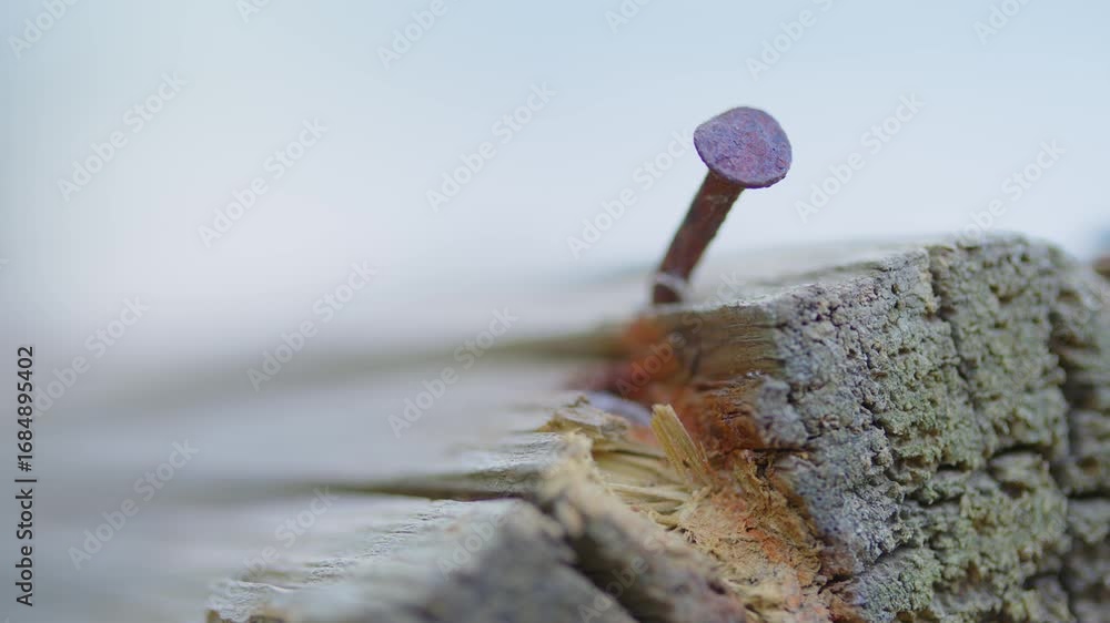 Poster close-up macro view of a rusty nail embedded in a dry weathered tree trunk.