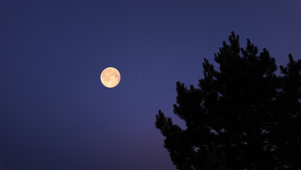 Full Moon with stars, planets and rural countryside tree silhouettes.