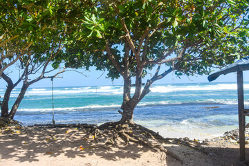 Beach ocean tropical - Escape to paradise with this serene beach scene,