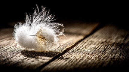 A white feather on aged wooden table in low key lighting with dramatic shadow and ultra cinematic mood evoking delicate quiet emotion
