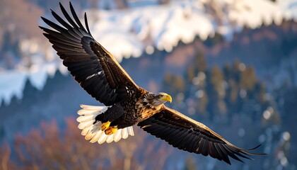 A majestic eagle soaring through a winter landscape