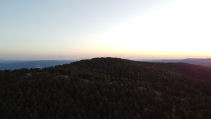 Fototapeta premium Drone aerial view of a dense green pine forest covering a mountain ridge. Scenic natural landscape with endless trees, hills, and distant horizon. Perfect for concepts of wilderness, nature conservati