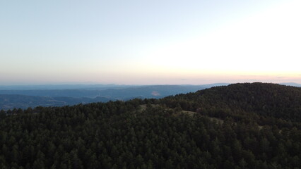 Drone aerial view of a dense green pine forest covering a mountain ridge. Scenic natural landscape with endless trees, hills, and distant horizon. Perfect for concepts of wilderness, nature conservati