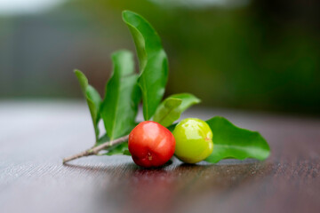 red and green fruits, Group of Acerola Cherry fruits or Barbados cherry or West Indian cherry, red ripe and green, with green leaves isolated on wooden table close up selective focus blur background