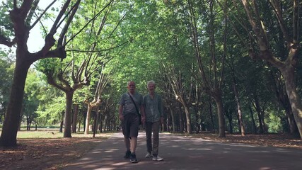 An elderly couple walk hold hands as they take a leisurely stroll in a city park lined with trees on a sunny day. Full length body, front, tracking shot.