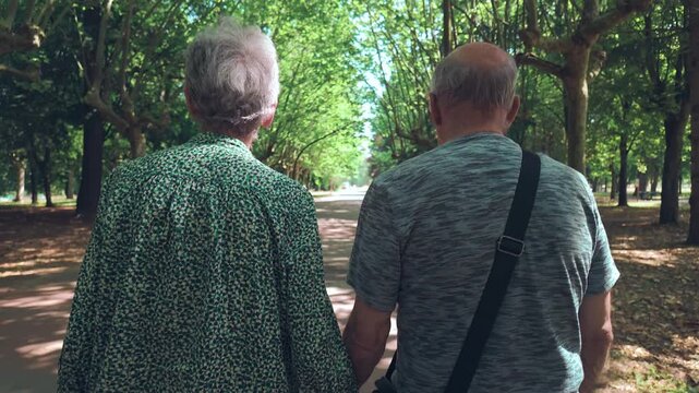 An elderly couple walk hold hands as they take a leisurely stroll in a city park lined with trees on a sunny day. Medium, waist up, rear, tracking shot.