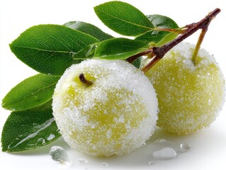 Two sugared, pale yellow plums with green leaves