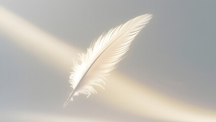 Obraz premium White feather on blue and black backgrounds