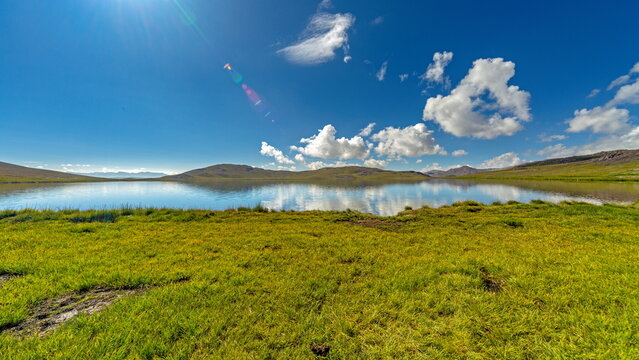 View of a serene lake mirroring the clear blue sky dotted with fluffy white clouds, bordered by lush green meadows, Deosai National Park, Gilgit Baltistan, Pakistan.