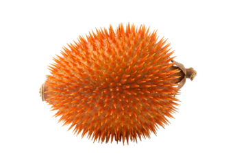 Close-up view of a spiky, orange fruit, showcasing intricate details and vibrant color against a black background.