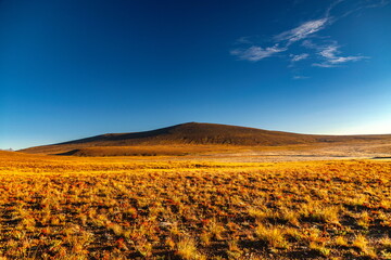 View of golden grasslands stretching towards a dark, rounded hill under a vibrant blue sky with wispy clouds, Deosai National Park, Gilgit Baltistan, Pakistan.