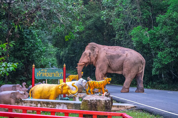 Its body is gray, its snout is called the trunk. The trunk of the Asian elephant has only one beak....