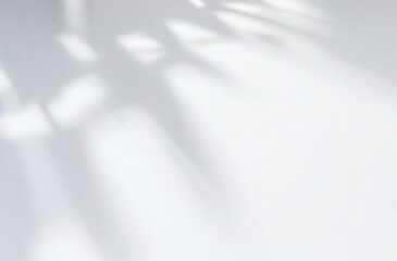 Abstract beautiful shadow on white wall, background for design, presentation.