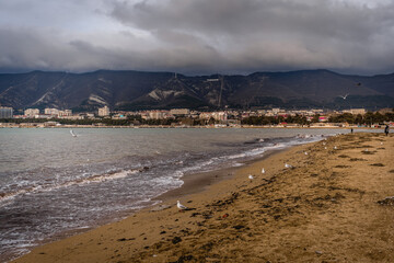 Winter in resort of Gelendzhik. Seagulls sitting on sandy beach. Clouds on mountains