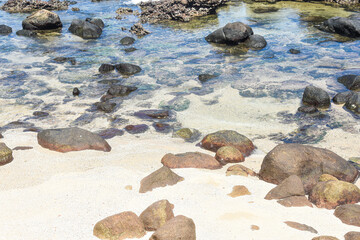 Beach sea ocean - Experience the serene beauty of a sunlit beach