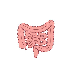 Minimalist 2D flat vector illustration of human intestines, featuring distinct small and large sections with continuous clean lines and light pink solid colors, isolated on white.