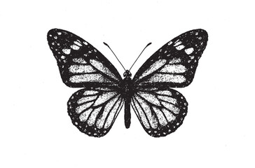 Black and White Butterfly Illustration | Vintage Monarch Butterfly Ink Drawing Clipart