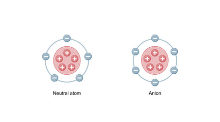 Neutral atom and Anion Structure. Scientific Design. Vector Illustration.