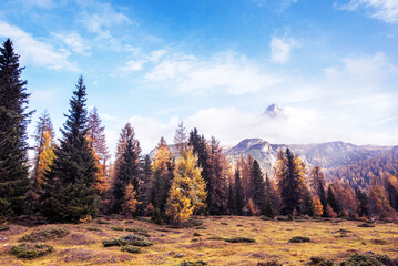 mystical landscape with fog over the mountains  in Dolomites Alps. (Meditation, anti-stress, relaxation - concept)