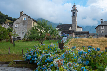 composition of flowers, an old house and the small church of Rasa, Switzerland