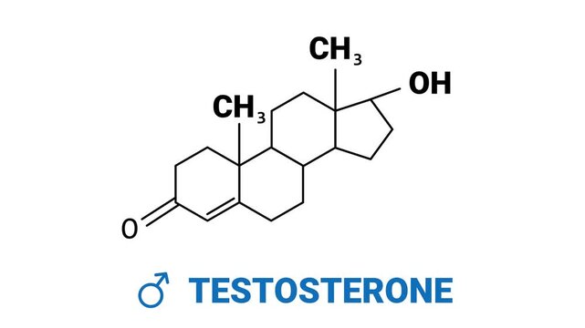 Testosterone Hormone Molecule Structure, Animated male hormone molecule, perfect for medical, scientific, and educational videos
