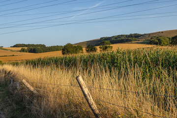 Obraz premium A rural Sussex landscape on a sunny summer's day