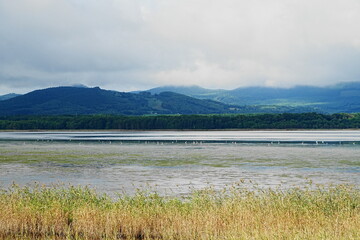 コムケ湖の水鳥