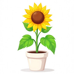 Obraz premium sunflower in a pot