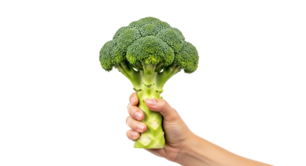 offering natures goodness a hand presents vibrant, fresh broccoli, isolated on transparent background