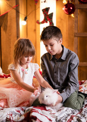 Boy and girl playing with white rabbit on bed. New Year mood. New Year decor.