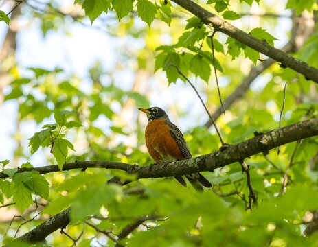 Bird perched on branch in leafy tree