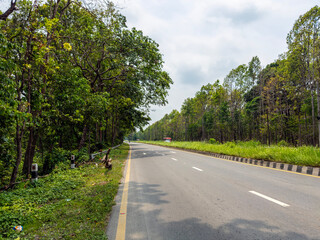 road in the forest beautiful highway clean and latest