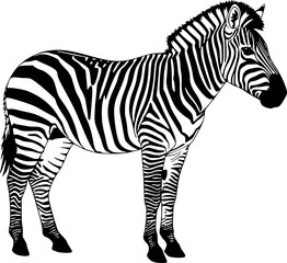 Striking black and white zebra standing profile view in a bold graphic silhouette style
