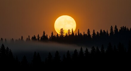 Full moon or sun setting behind dark evergreen trees and misty fog