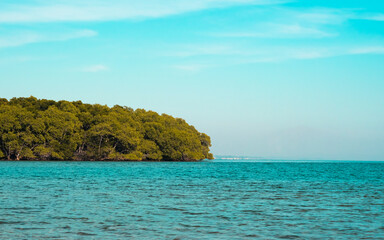 A view of the sea with a backdrop of mangrove forests and mountains in the summer. Baluran Sejile.