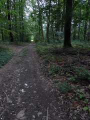 Jakobsweg, Abschnitt Bamberg bis Reundorf