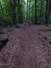 Abschnitt Bamberg bis Reundorf