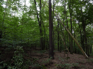 Abschnitt Bamberg bis Reundorf