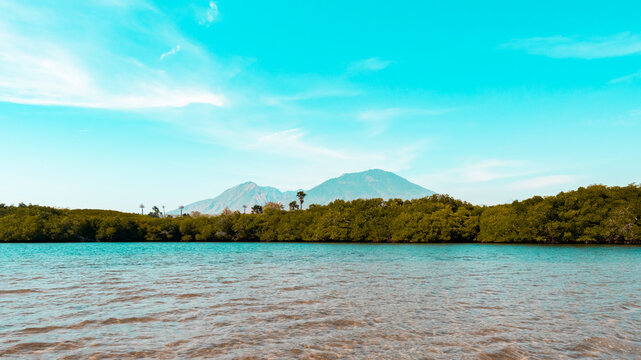 Coastal mangroves stand beside calm waters. Distant mountain peaks frame a serene horizon. A turquoise sky stretches overhead with fluffy clouds at Baluran Tourism Park.