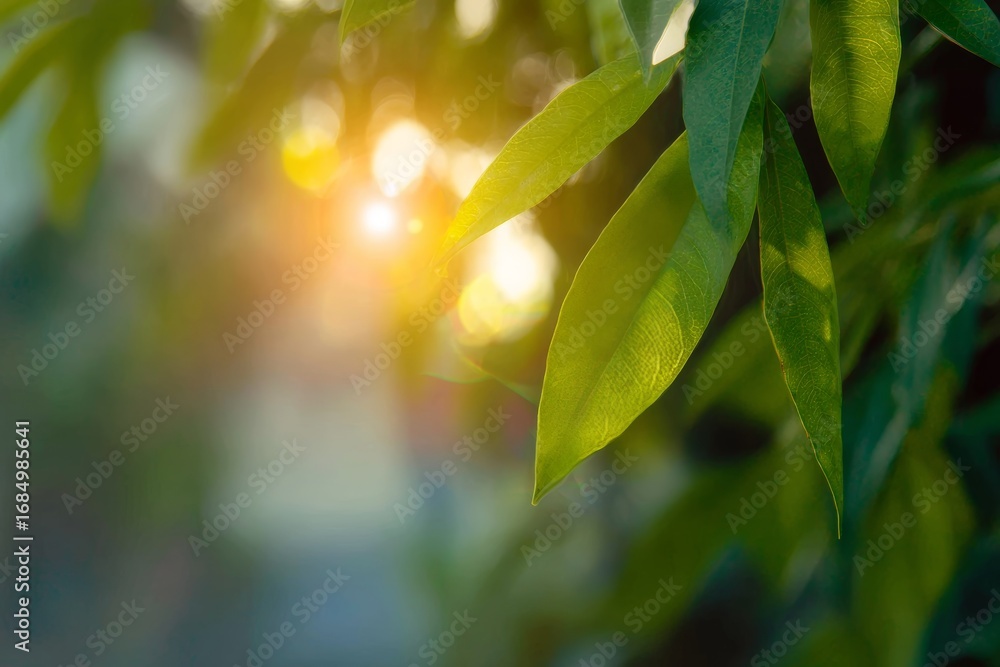 Aufkleber sunlight filtering through lush green leaves creating a beautiful bokeh effect in nature s serenity