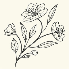 minimal botanical graphic sketch drawing vector template