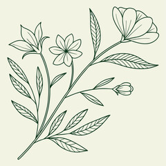 minimal botanical graphic sketch drawing vector template